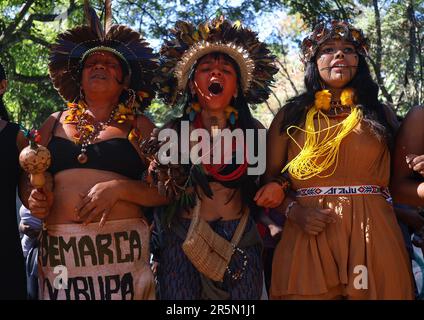 San Paolo, Brasile. 04th giugno, 2023. I Guarani indigeni prendono parte a una protesta contro Jaragua sul Pico de Jaragua di San Paolo contro una proposta di legge (PL 490) che cambierebbe la politica del paese sulla demarcazione delle terre indigene. Credit: Allison Sales/dpa/Alamy Live News Foto Stock