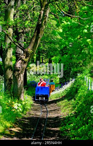 South Shields South Marine Park popolare ferrovia in miniatura che porta le famiglie intorno al parco in una giornata estiva Foto Stock