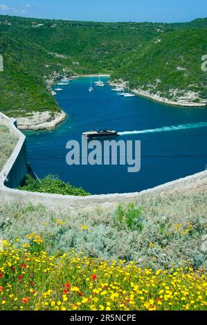 Fjord, Goulet de Bonifacio, Bonifacio, Corsica, Francia Foto Stock