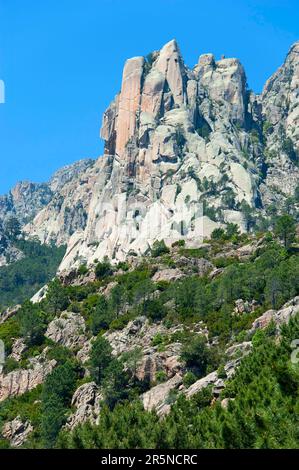 Passo col de Larone, Corsica, Francia Foto Stock