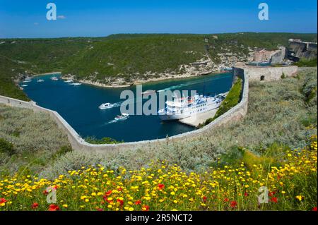 Traghetto, Fjord, Goulet de Bonifacio, Bonifacio, Corsica, Francia, Città alta Foto Stock