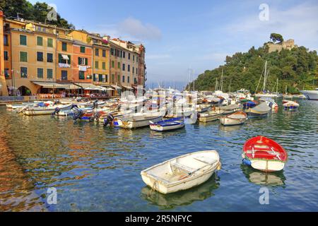 Porto, Portofino, Golfo del Tigullio, Provincia di Genova, Liguria, Golfo del Tigullio, Italia Foto Stock