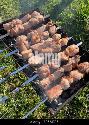 Molti succosi kebab di carne in fila sulla griglia. Pezzi di carne alla griglia puntati su spiedini di metallo. Il processo di cottura dei kebab con molto fumo. Cooki Foto Stock