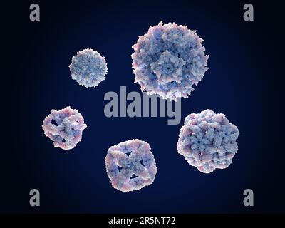 Nanoparticelle proteiche, illustrazione Foto Stock