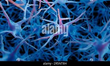 Cellule cerebrali, illustrazione Foto Stock