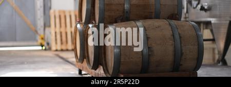 Azienda vinicola e cognac con vasche di fermentazione in acciaio e botti di legno per il processo di invecchiamento. Industria alimentare e concetto di vinificazione Foto Stock