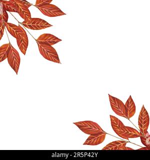 Cornice acquerello con foglie autunnali isolata su sfondo bianco. Zucche, foglie di acero, ghiande, foglie di quercia, funghi, physalis, montagna a. Foto Stock