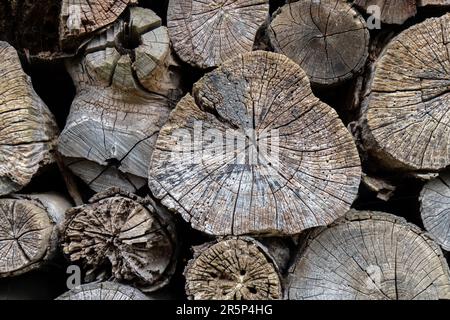 Sfondo dei log tagliati. Palo di natura segato legno alberi texture. Tronchi di alberi, legno di fondo. Industria del legno messo insieme. Decorazione di alberi da taglio tondi anelli annuali con strisce di varie dimensioni Foto Stock