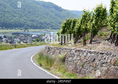 Strada tortuosa attraverso i ripidi vigneti Foto Stock