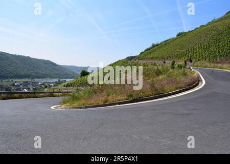 Strada tortuosa attraverso i ripidi vigneti Foto Stock