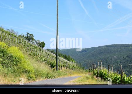 Strada tortuosa attraverso i ripidi vigneti Foto Stock