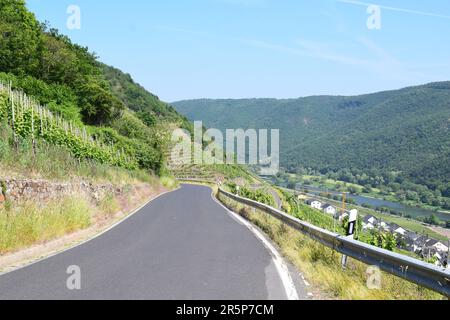 Strada tortuosa attraverso i ripidi vigneti Foto Stock