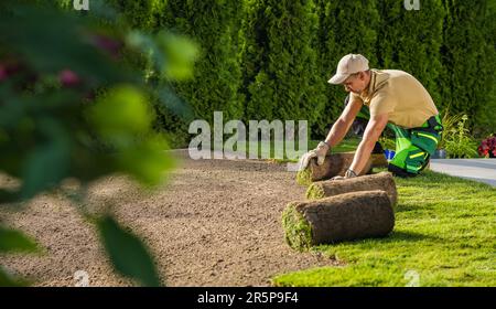 Caucasian Landscaping Worker nel suo 40s installare nuovo prato fatto da erba naturale turfs. Giardinaggio e giardinaggio. Foto Stock