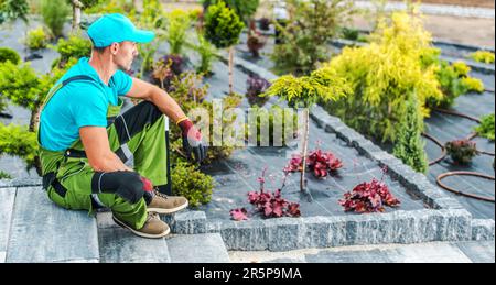 Caucasian professionista paesaggistico lavoratore nel suo 40s all'interno nuovo progettato giardino residenziale cortile Foto Stock