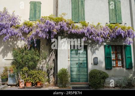 antica casa con porte in legno verde e persiane alle finestre. Fiori di glicine sulla facciata dell'edificio. Provincia europea Foto Stock