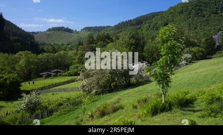 Visualizza vicino Corris Gwynedd Wales Regno Unito Foto Stock