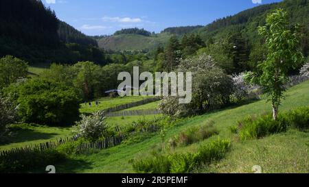 Visualizza vicino Corris Gwynedd Wales Regno Unito Foto Stock