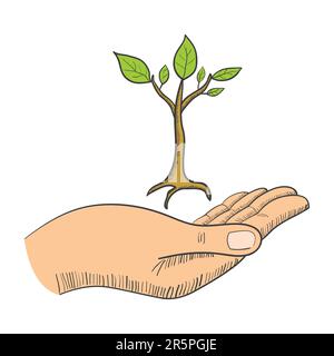 Semplice grafica di una mano con un giovane simbolo di albero Illustrazione Vettoriale