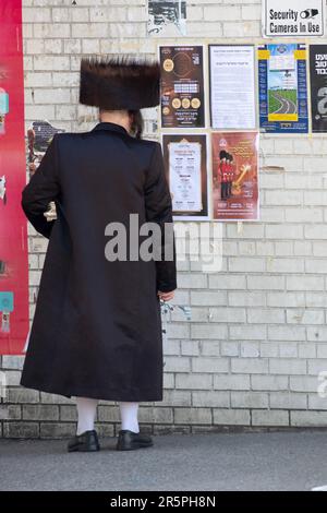 Un ebreo ortodosso che indossa una pelliccia di shtreimel aveva letto manifesti che sono principalmente in Yiddish. Durante il Succos 2022 a Brooklyn, New York. Foto Stock