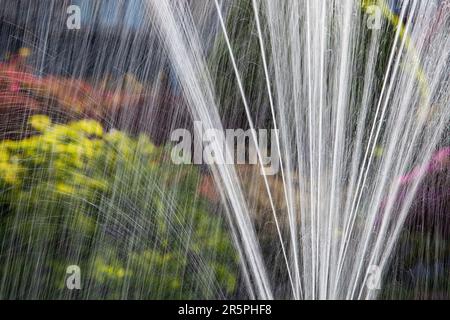 Un giardino fontana in Holehird Gardens, Windermere, Cumbria, Regno Unito. Foto Stock