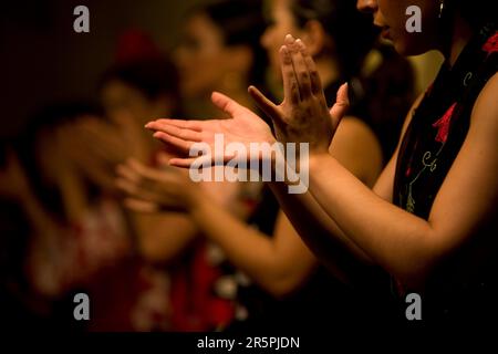 I ballerini di flamenco, o bailaoras, si esibiscono a Cordoba, Andalusia, Spagna. Foto Stock