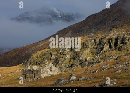 Chiesa norrena a Hvalsey, Groenlandia. Foto Stock