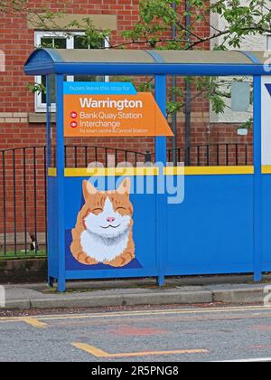 Opere d'arte di Cheshire Cat dipinte su una fermata dell'autobus al riparo sulla Wilderspool Causeway vicino al Causeway Hotel a Warrington, Cheshire Foto Stock