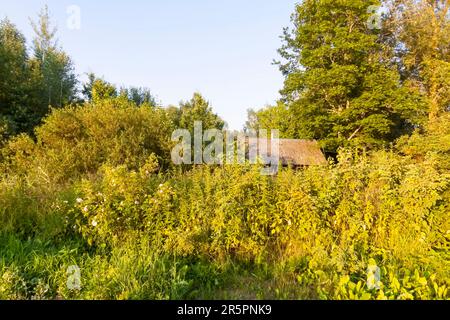 Un vecchio bagno nel villaggio. Edificio in legno con luce del tramonto. Foto Stock