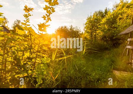 Un vecchio bagno nel villaggio. Edificio in legno con luce del tramonto. Foto Stock