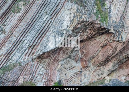 Flysh scogliere sulla Spiaggia di Itzurun in Zumaia, Paesi Baschi Foto Stock