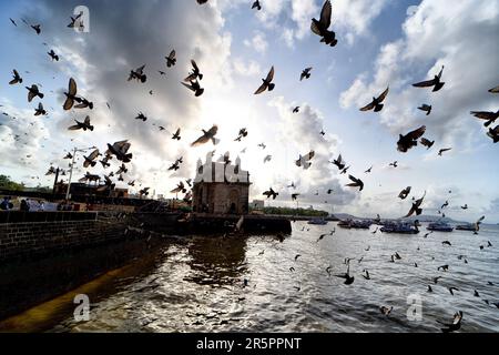 Mumbai, India. 04th giugno, 2023. Enorme numero di uccelli piccioni visto volare di fronte al Gateway of India nella mattina presto subito dopo l'alba. Costruito in stile indo-saraceno, il Gateway of India è la principale destinazione turistica della città. Il Gateway of India è stato progettato per commemorare la visita nel 1911 del re Giorgio V e della regina Maria, che erano stati in viaggio per il durbar che si teneva a Delhi per celebrare la loro incoronazione come imperatore e imperatrice dell'India. (Foto di Avishek Das/SOPA Images/Sipa USA) Credit: Sipa USA/Alamy Live News Foto Stock