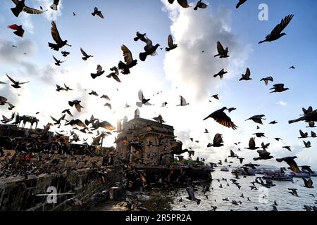 Mumbai, India. 04th giugno, 2023. Enorme numero di uccelli piccioni visto volare di fronte al Gateway of India nella mattina presto subito dopo l'alba. Costruito in stile indo-saraceno, il Gateway of India è la principale destinazione turistica della città. Il Gateway of India è stato progettato per commemorare la visita nel 1911 del re Giorgio V e della regina Maria, che erano stati in viaggio per il durbar che si teneva a Delhi per celebrare la loro incoronazione come imperatore e imperatrice dell'India. (Foto di Avishek Das/SOPA Images/Sipa USA) Credit: Sipa USA/Alamy Live News Foto Stock