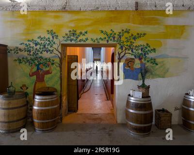 Un murale sul muro della cantina la Abeja a San Rafael, Mendoza, Argentian. Il corridoio è fiancheggiato da grandi tini di cemento. Foto Stock