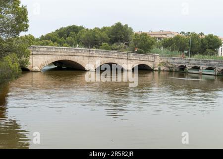 Vista del ponte sul canale della riserva S’Albufera, Albufera, Maiorca, Spagna, 30 maggio 2023 Foto Stock