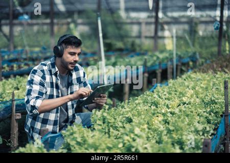 Gli agricoltori migliorano il sano equilibrio tra vita lavorativa e vita grazie all'ascolto della musica e al movimento del corpo al ritmo e al ritmo. Progettazione di un orario di lavoro flessibile, ta Foto Stock