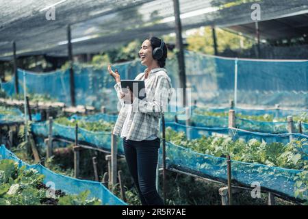 Gli agricoltori migliorano il sano equilibrio tra vita lavorativa e vita grazie all'ascolto della musica e al movimento del corpo al ritmo e al ritmo. Progettazione di un orario di lavoro flessibile, ta Foto Stock