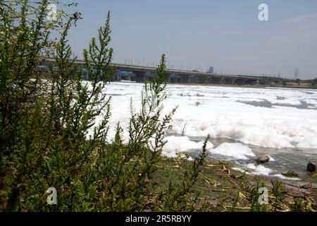 Nuova Delhi, Nuova Delhi, India. 5th giugno, 2023. 5 giugno 2023, Nuova Delhi, India: Una vista del fiume Yamuna coperto di schiuma tossica causata dallo scarico industriale a Nuova Delhi, India. La Giornata Mondiale dell'ambiente è la giornata delle Nazioni Unite per incoraggiare la consapevolezza e l'azione a livello mondiale per la protezione dell'ambiente. (Credit Image: © Rohit Lohia/ZUMA Press Wire) SOLO PER USO EDITORIALE! Non per USO commerciale! Credit: ZUMA Press, Inc./Alamy Live News Foto Stock