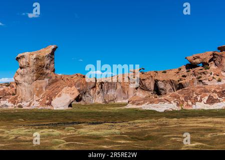 Campo bagnato circondato da formazioni rocciose nell'altopiano boliviano Foto Stock
