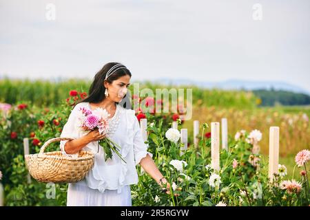 Bella donna di mezza età che raccoglie fiori nel giardino autunnale, indossando vestiti bianchi, tenendo il cestino di vimini Foto Stock