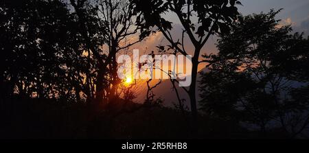 Uno splendido paesaggio caratterizzato da alberi con silhouette sullo sfondo di un bellissimo cielo al tramonto Foto Stock