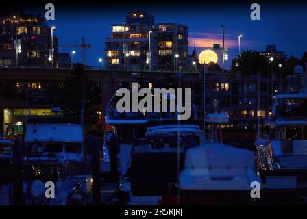 Falso Creek Full Moon Vancouver, British Columbia. La luna che sorge sullo skyline di Vancouver False Creek. British Columbia, Canada. Foto Stock