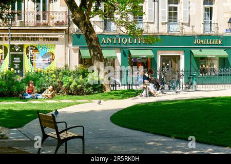 Francia, Cote d'Or, Digione, zona dichiarata Patrimonio dell'Umanità dall'UNESCO, Square des Ducs Foto Stock