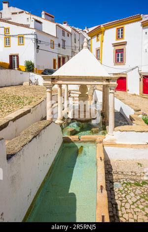 Portogallo, regione dell'Alentejo, villaggio medievale di Castelo de vide, distretto di Judiaria, ex quartiere ebraico, fonte da Vila (fontana della città) del XVI secolo la cui acqua ha proprietà terapeutiche Foto Stock