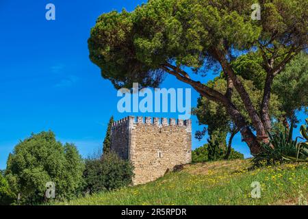 Portogallo, regione dell'Alentejo, Vila Vicosa, il castello medievale Foto Stock