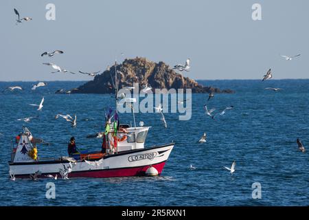 Francia, Morbihan, Houat Island, ritorno dalla pesca al porto di Saint-Gildas Foto Stock