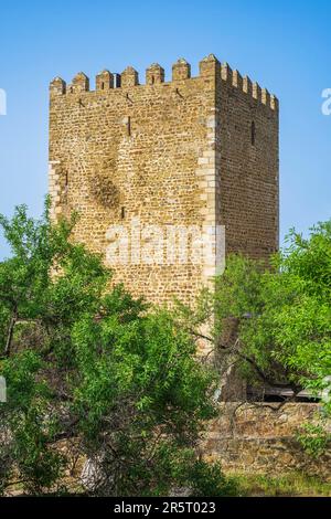Portogallo, regione di Alentejo, Mertola, torrione del castello medievale Foto Stock