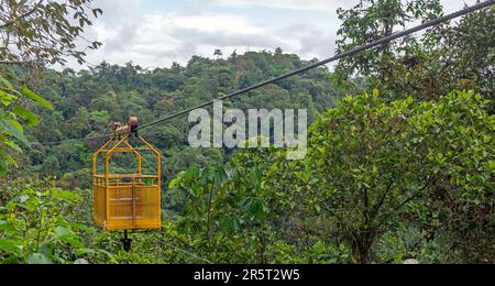 Funivia di Tarabita sopra la foresta nuvola di Mindo, Ecuador. Foto Stock