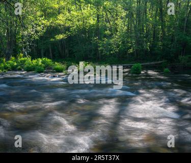 Piacevoli increspature nelle acque poco profonde del fiume Navia a Becerrea Ancares Lugo Galicia Foto Stock