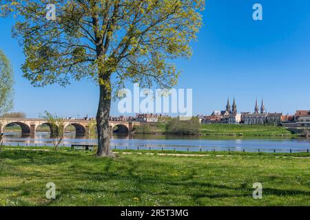 Francia, Allier, Moulins, la città vista dalla riva sinistra dell'Allier, la chiesa del Sacro cuore e la cattedrale di Notre Dame Foto Stock