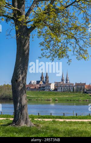 Francia, Allier, Moulins, la città vista dalla riva sinistra dell'Allier, la chiesa del Sacro cuore e la cattedrale di Notre Dame Foto Stock